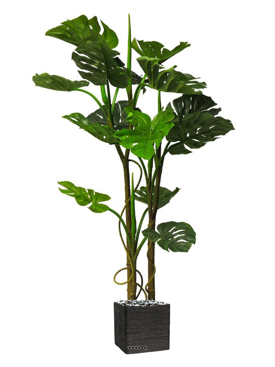 Plante artificielle monstera h. 180 cm feuilles de tortue réalistes pot  inclus Couleur vert Homcom