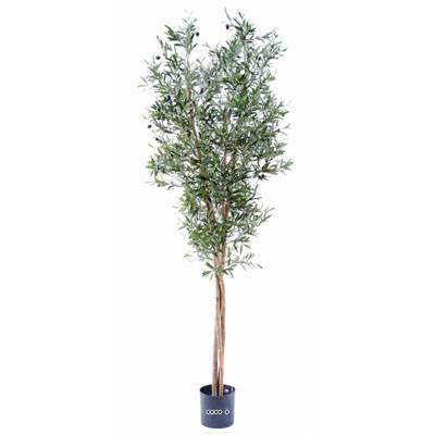 Olivier artificiel en pot 3 troncs H 210 cm Vert