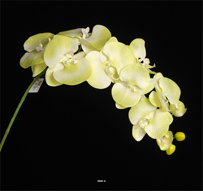 Orchidée Lisa artificielle Vert été H98cm 8 fleurons 4 boutons qualité