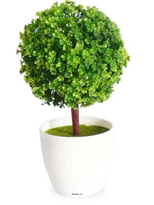 Mini plante topiaire Vert déco H 25 cm en pot plastique blanc superbe