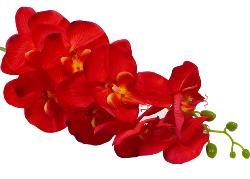 Orchidée Tao factice H105 cm 8 fleurons 5 boutons qualité Pro Rouge