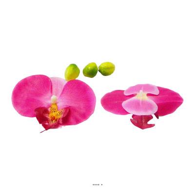 Têtes fleurons Orchidée Phalaenopsis factices x9 3 boutons Rose fushia
