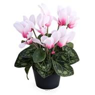 Cyclamen artificiel en pot H 20 cm D 15 cm qualité top Rose-crème