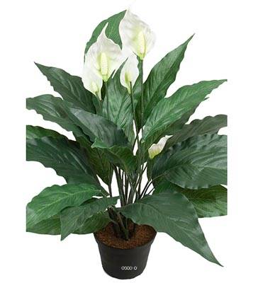 Spathiphyllum artificiel en pot H 43 cm 20 feuilles et 5 fleurs