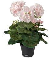 Géranium factice Rose pâle 6 têtes en pot lesté H35cm belles feuilles