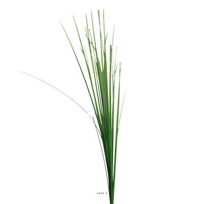 Isolepsis artificiel H 70 cm en tige vert ouvert superbe