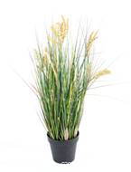 Isolepsis artificiel Gramine Papyrus scirpes H 90 cm en pot