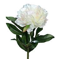 Pivoine artificielle crème Rose H 63 cm très belle tête