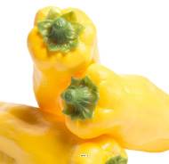 Piment jaune artificiel en lot de 3 en Plastique soufflé L 160x40 mm
