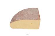 Quartier de Fontina Fromage artificiel Plastique soufflé L 370x100 mm