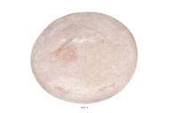 Tomme artificielle fromage en Plastique souffl D 370x100 mm