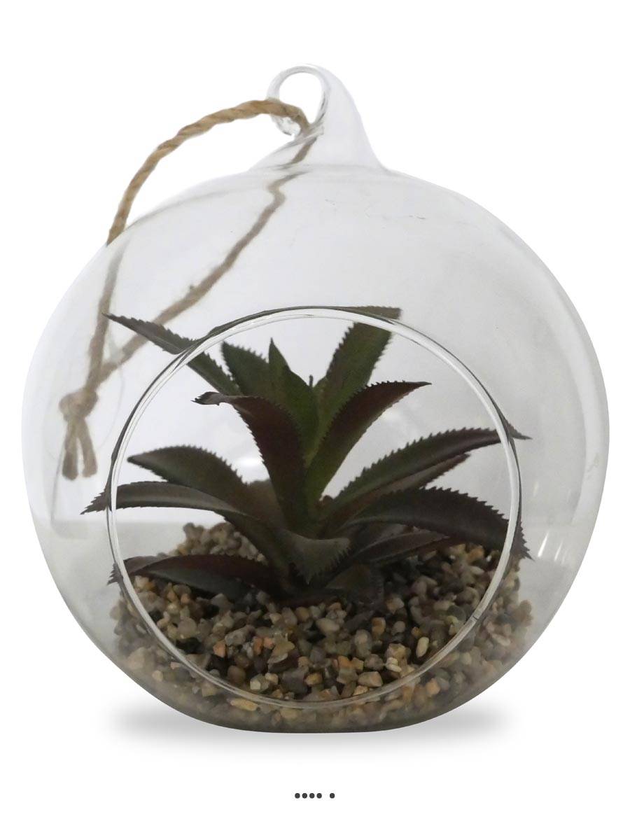 Plante grasse artificielle succulente cactee en bulle de verre avec corde  du site artificielles.com