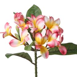 Frangipanier factice Rose & jaune en branche fleurie H73cm top et rare