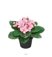 Saint Paulia artificiel en pot H 16 cm trs fleuri Rose