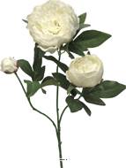 Pivoine artificielle ramifiée, 3 têtes, H 70 cm Crème -  BEST