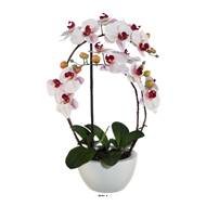 Orchidée factice 4hampes coupe céramique H60cm touché réel Rose-crème