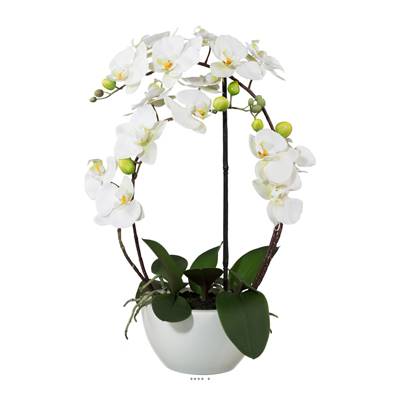 Orchidée factice 4 hampes en coupe céramique H60cm touché réel Crème
