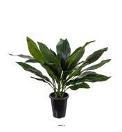 Aspidistra artificiel en pot, feuillage dense, H 75 cm, D 71 cm