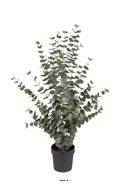 Eucalyptus cinerea artificiel en pot  H 110 cm, D 70 cm