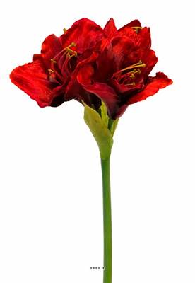 Amaryllis artificiel H 65 cm Superbe Rouge