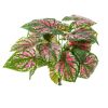 Caladium artificiel en piquet 23 feuilles, H 34 cm Vert Rose