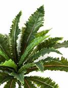 Fougère Asplenium artificielle en piquet 24 feuilles H 70 cm Vert