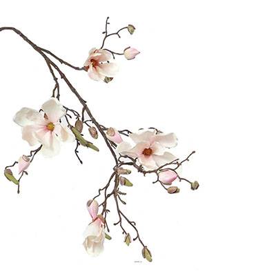 Branche de magnolia artificiel 4 fleurs 22 boutons H 107 cm Rose-crème