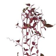 Jolie chute de tradescantia artificiel L 102 cm violine