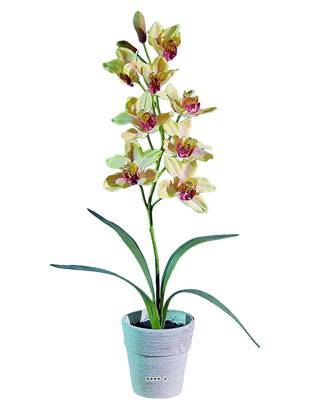 Grande orchidée artificielle en pot H 68 cm  Jaune-rouge
