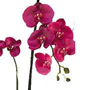 Sublime orchidée artificielle en pot H 75 cm  Rose fushia