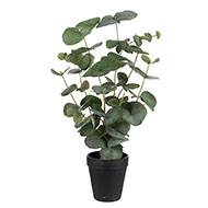 Eucalyptus artificiel en pot H 55 cm 