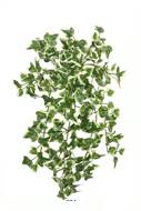 Chute de lierre artificiel L 45 cm vert-blanc 216 feuilles
