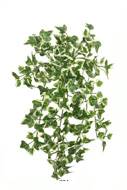 Chute de lierre artificiel L 45 cm vert-blanc 216 feuilles