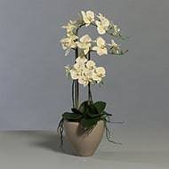 Superbe orchidée artificielle en pot céramique H 70 cm 3 hampes crème-orange