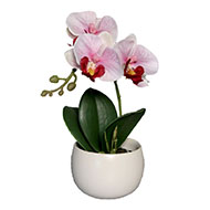 Adorable fausse orchidée coupe céramique H 16 cm Rose-crème