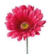 Gerbera artificiel, H 56 cm - D 11 cm superbe Rose fushia