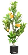 Magnifique Citronnier Artificiel Vert avec Citrons – H 90 cm x L 50 cm