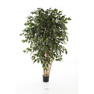 Ficus exotique multi troncs H 210 cm 3465 feuilles artificiel