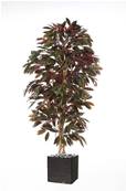 Capensia arbre artificiel H210cm 1088 feuilles Superbe et dense en pot