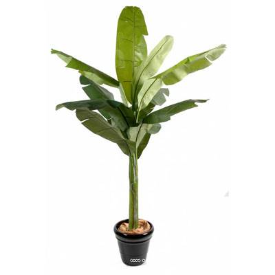 Bananier en pot artificiel H 350 cm Superbe de realisme