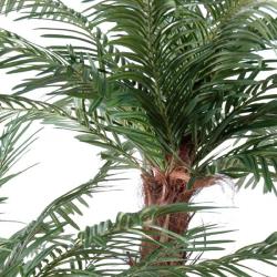 Palmier Cycas 3 Troncs en pot 160cm superbe de réalisme