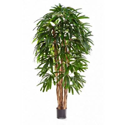 Palmier Raphis artificiel en pot multi troncs FEU RETARDANT H 180 cm