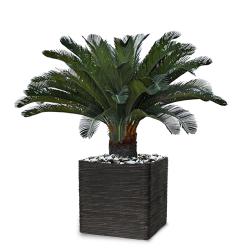 Palmier Cycas artificiel sur pied H 130 cm superbe