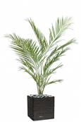 Palmier Artificiel Kentia H 150 cm D 90 cm en pot