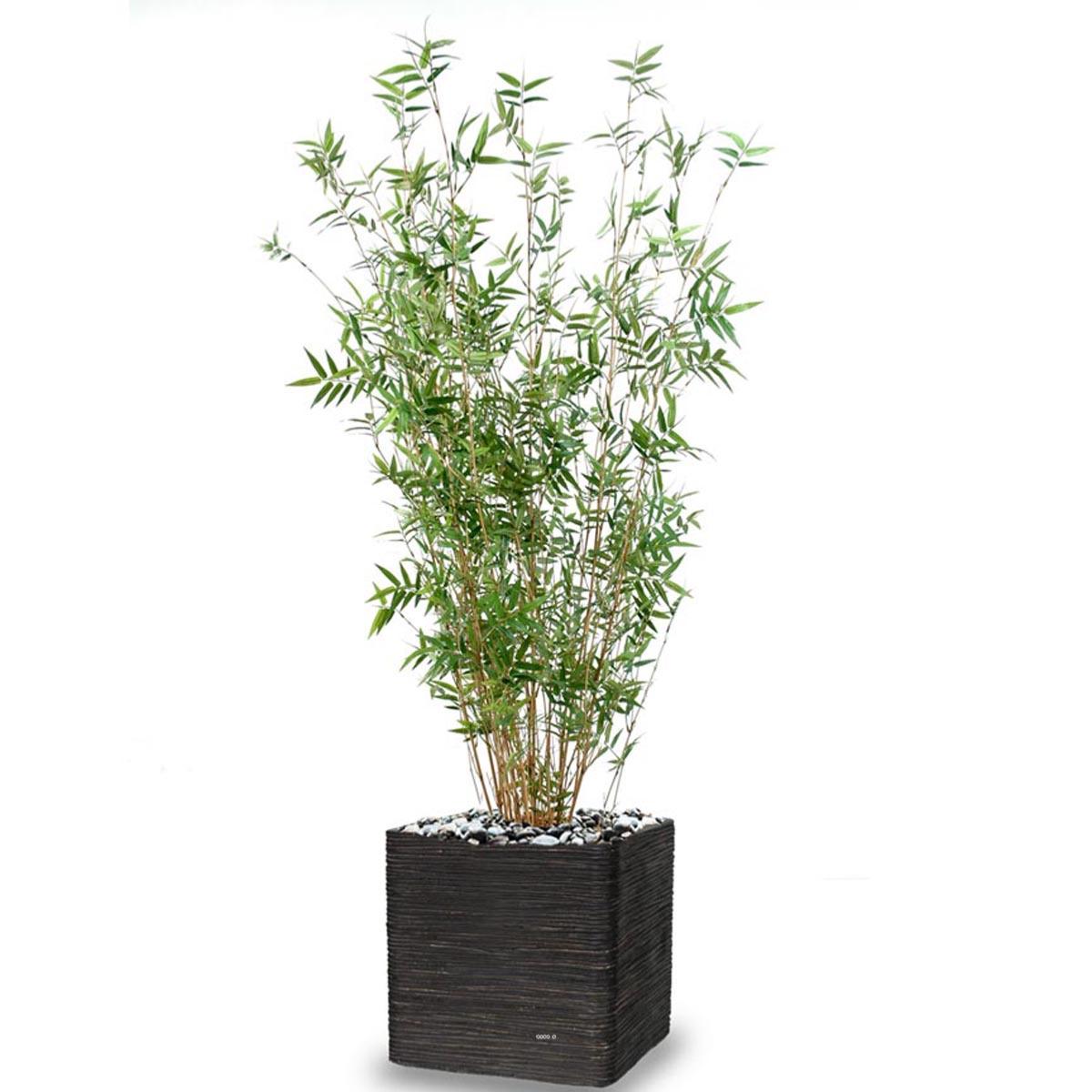 Plante artificielle décorative bambou - vert H155cm - PAU