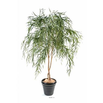 Saule haute qualité à 2 troncs en bois H 270 cm Vert été
