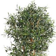 Olivier artificiel avec olives en pot tronc bois noueux  H 170 cm Vert D 80 cm