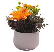 Pot de Dahlias fleurs artificielles pour le Funérarium H 17 cm D 14 cm Jaune-orange