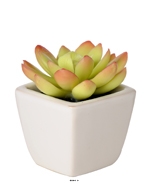 Echeveria Plante grasse artificielle succulente en pot ceramique