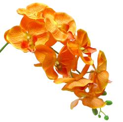 Orchidee Tao artificielle H105cm 8 fleurons 5 boutons qualité Orange